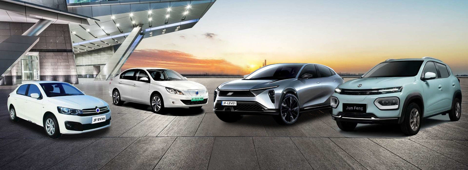 New Energy Passenger Vehicles