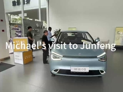 S3 EV New Energy Vehicles 4030 X 1810 X 1570mm Dongfeng Electric Vehicle